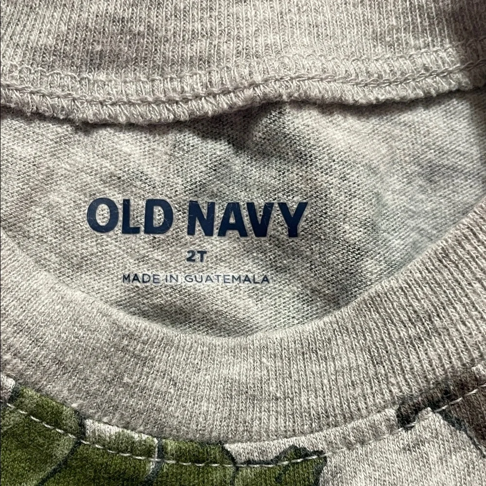 Old Navy Kids Short Sleeve Tee Dinosaur Size 2T